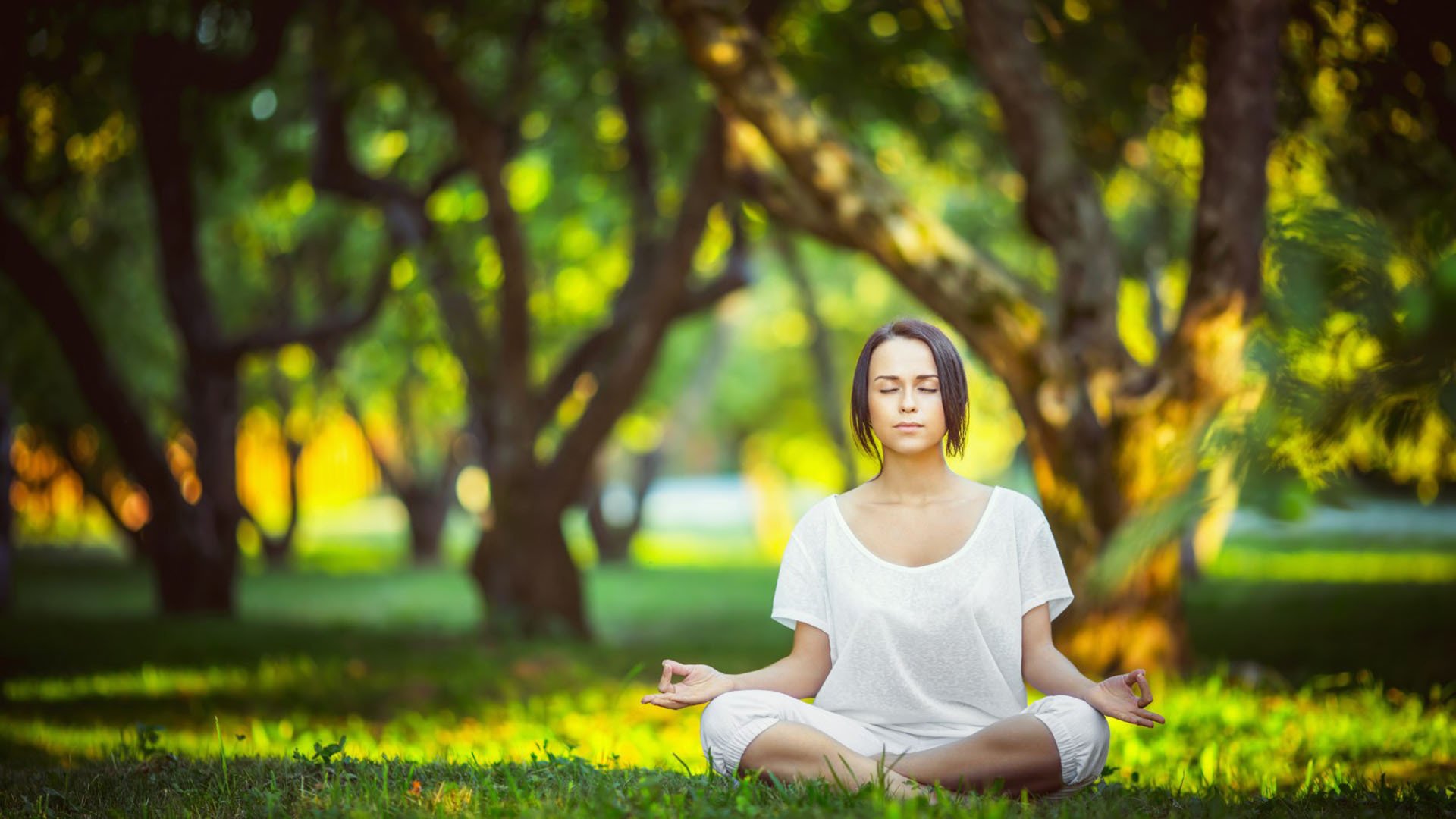 重磅:TheShy目标并未改(重磅微视频丨向着宏伟目标接续奋进下载)