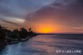 包含约基奇8次T禁赛1场6球迷热议的词条
